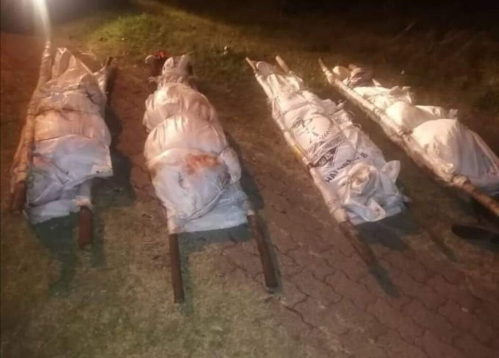 “Five Men Executed at Illegal Mine – Communities Demand Crackdown on Syndicate Leaders”