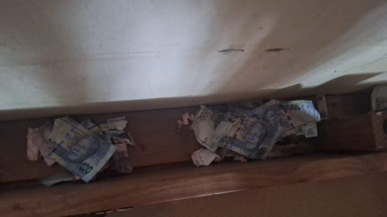 540787843_1198219028996402_5254740094770444620_n