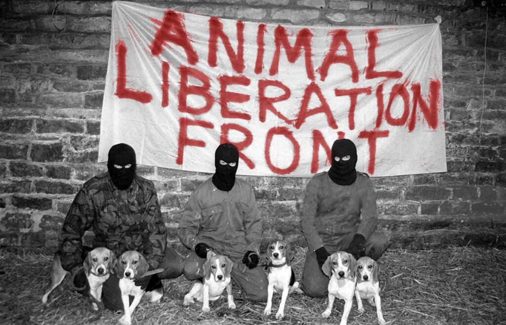 Animal Liberation Front (ALF), A Radical Voice for Animal Rights