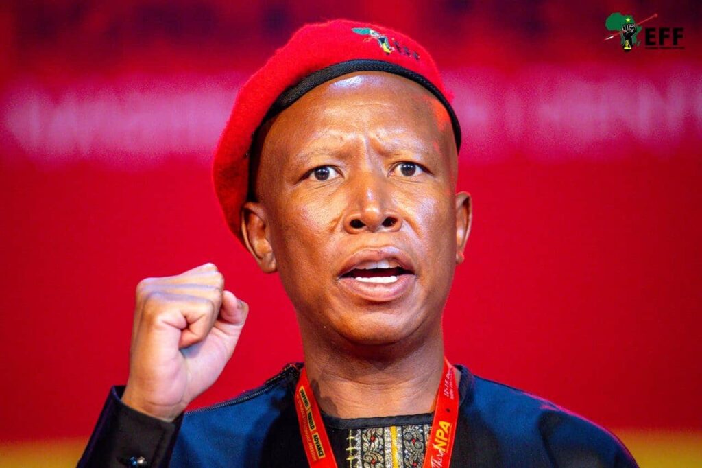 Julius Malema Convicted on Five Firearm Charges