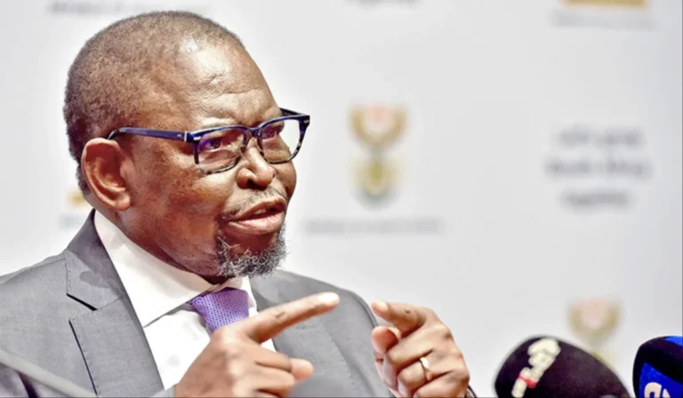 MixCollage-13-Nov-2025-03-41-PM-6772