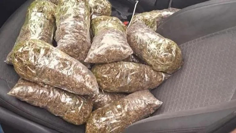 High-Speed Chase Through Khayelitsha Ends in Dramatic Arrest and Seizure of 24.5 Bags of Dagga