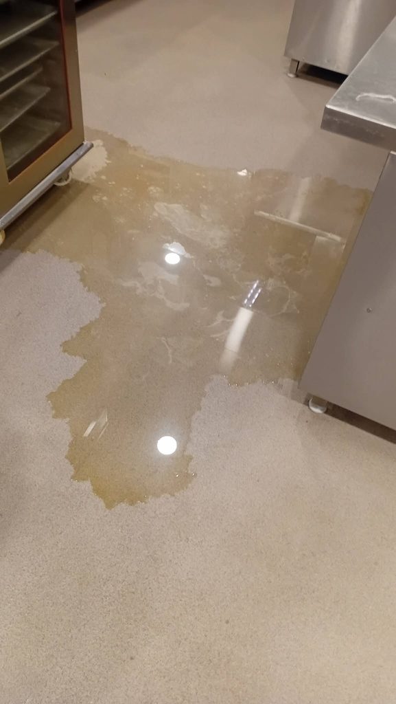 Former Hungry Lion Employee Claims He Cleaned Sewage Before Preparing Food