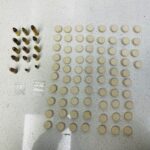 25-year-old arrested in Lwandle